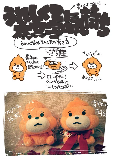 絵を描くと言いながら写真を撮ったり文字を書いたりしていた、可愛がってもらえるといいね、うんくま! 
