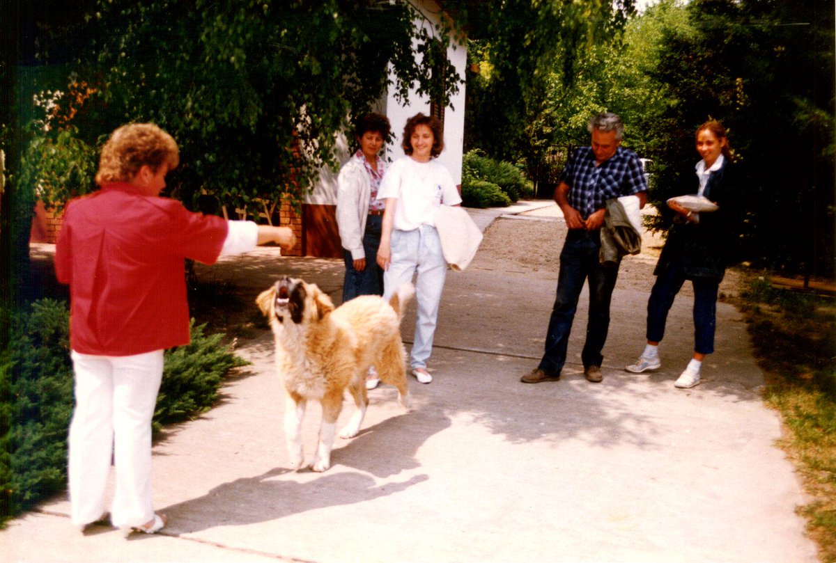 KarlDalby's tweet photo. @ClayEngberg @ninajansdotter  Jag minns en gång en ungersk herdehund, han hette "Bertzie", han var valp.... http://t.co/DEEUu5cNcb
