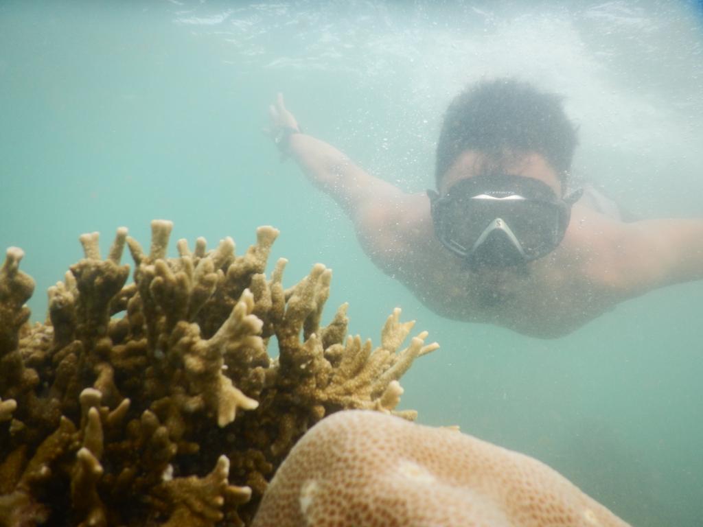 BangkaTerkini's tweet photo. #bangka @Martdiane_anggi Karangnya jgn dirusak ma kapal isap timah donk,,kasian ikannya tar pd mati juga #saveBangka https://t.co/Z8PgtFcg8r
