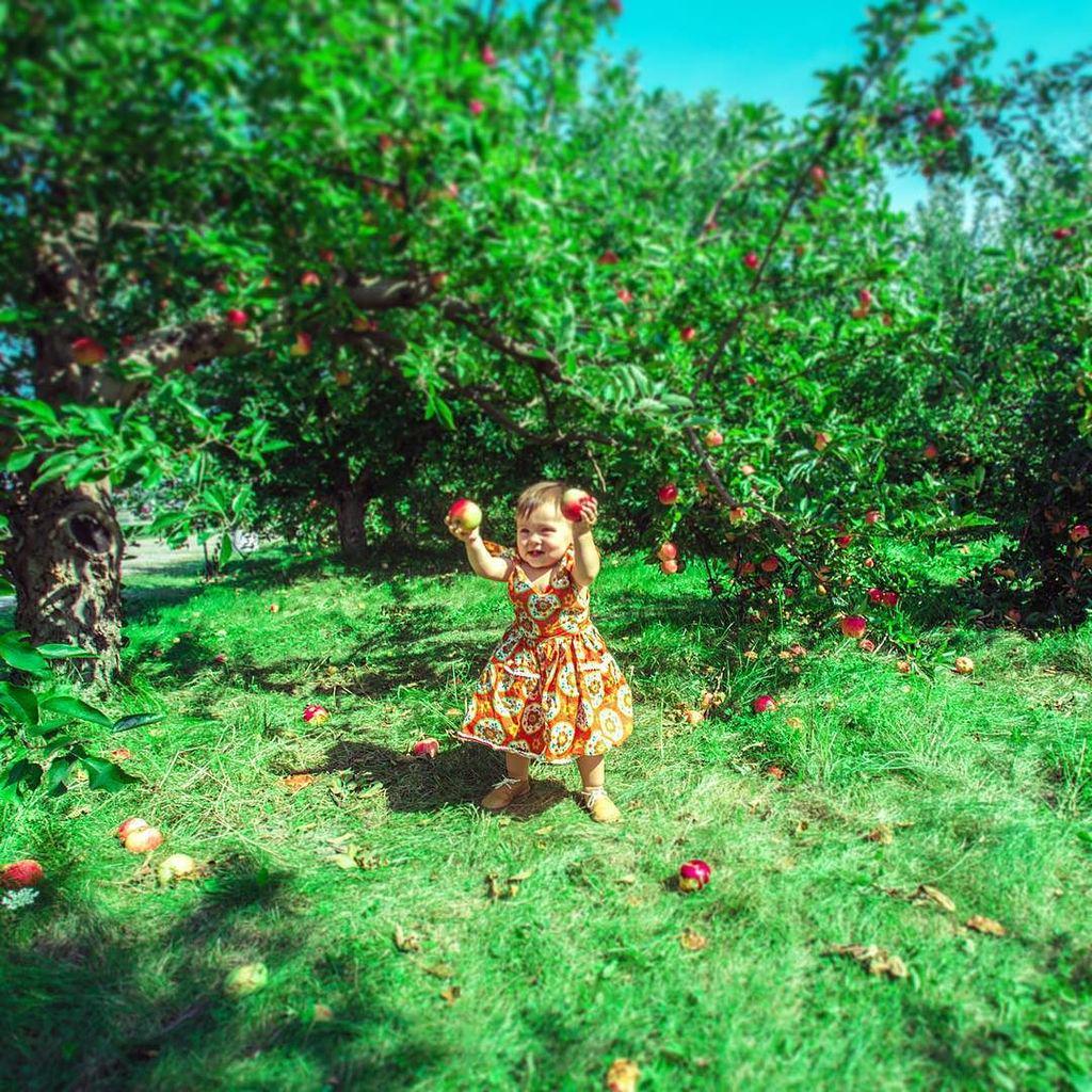 SHIMATAKUYA's tweet photo. 🍎YEAH🍎
#velvetjean #birthdaygirl #1yearoldtoday #1year #birthday!
#誕生日 #1歳 #apple #appleo… http://t.co/CPyPCP5xRS http://t.co/3vNsYvjLHa