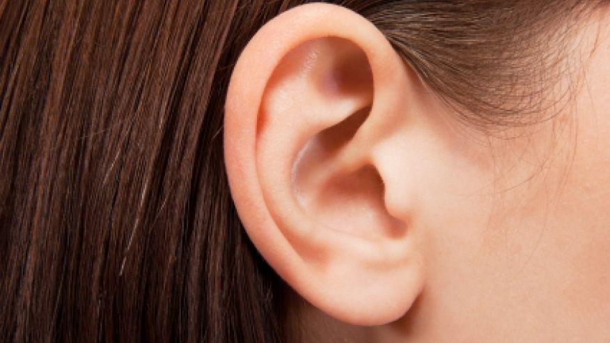fox32news's tweet photo. VERY GROSS: Doctors pull centipede out of woman's ear http://t.co/2j7gtKefn0 http://t.co/ZBkwMZ6INY