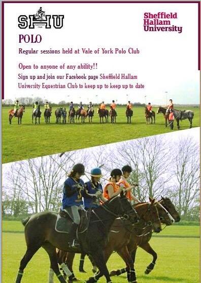 SHUEquestrian's tweet image. Looking forward to the year ahead.. 😊