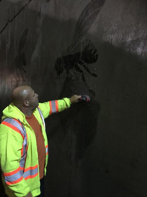 Beakerhead's tweet image. Bummed at #Beakerhead: the #ecograffiti 'Flies on the Wall' by @JarettSitter were removed last night. #byebyefly