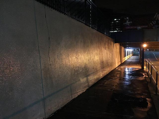 Beakerhead's tweet image. Bummed at #Beakerhead: the #ecograffiti 'Flies on the Wall' by @JarettSitter were removed last night. #byebyefly