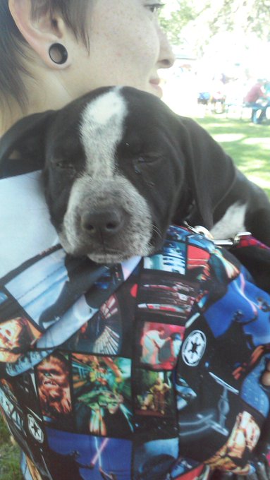 Padme and Mack💜 My baby's http://t.co/M4u5Fa7Rcj