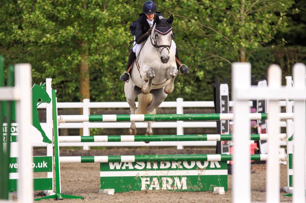 Super horse for sale horsequest.co.uk/search.aspx?ds…