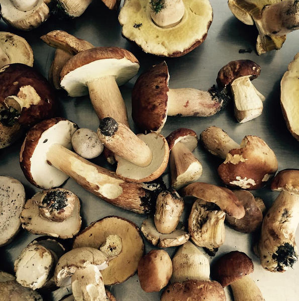 De avonden worden kouder, de gerechten juist warmer. Bekijk hier ons september menu: goo.gl/aAuXiB #herfst