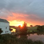 Photo by The Shepherds Hide (@shepshide)