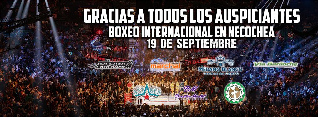 BoxNecochea's tweet image. 