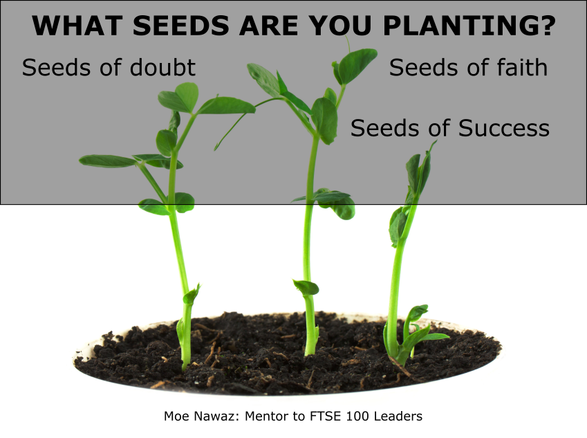 WHAT SEEDS ARE YOU PLANTING THE FUTURE?