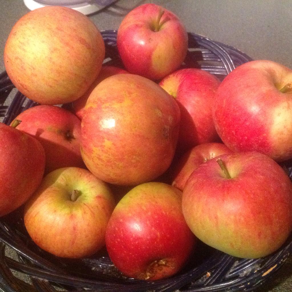 Gronsakslandet's tweet photo. Fallfrukt #fallfrukt #juice http://t.co/AXj3bYmvMB