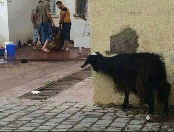 Alın size Bayram...