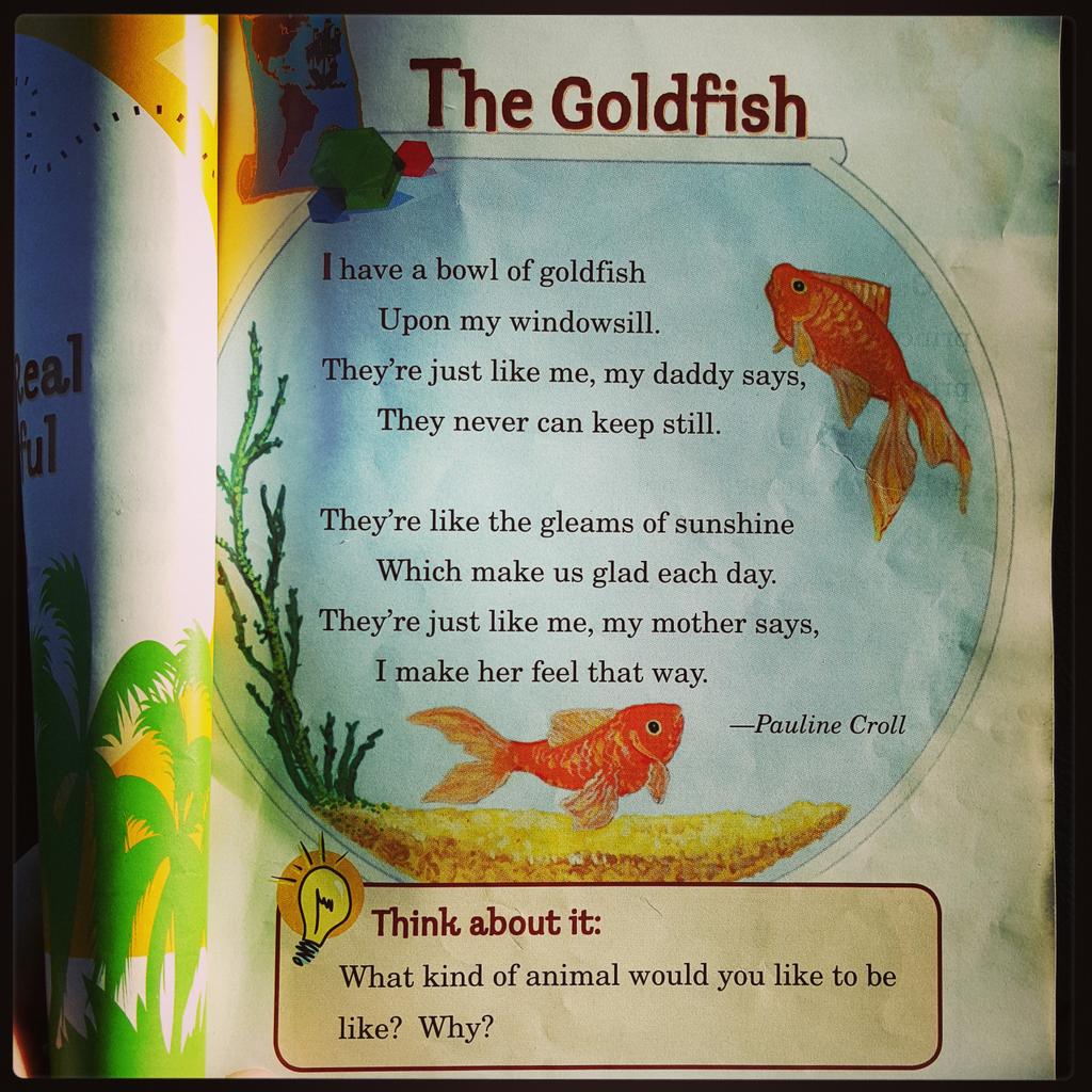 rainbow_brite13's tweet photo. "MOM! This #poem is about me! I'm your #sunshine & I NEVER sit still!" 😂😂😂 #OhElliot #goldfish http://t.co/67GsvBixYY