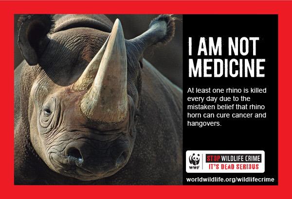 Animals1st's tweet photo. I Am Not Medicine #WorldRhinoDay π«π http://t.co/zk4jOHHnzy