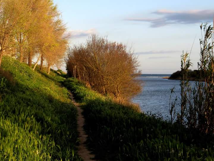 descobreixempo's tweet photo. Passeig vora #riumuga, els #aiguamolls i a la #tardor no t'ho pots perdre. Planifica @escapadarural a l'#AltEmporda http://t.co/fGMDv9hZuT