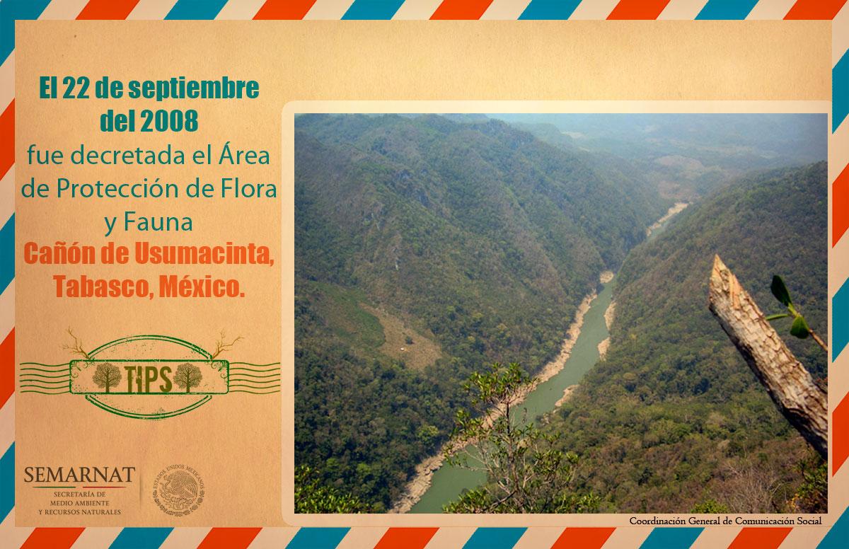 SEMARNAT_mx's tweet photo. Un 22 de septiembre fue decretada el #APFF @CONANP_mx Cañón de #Usumacinta, #Tabasco, #México, #postalSemarnat http://t.co/QiBQ1Cujpx