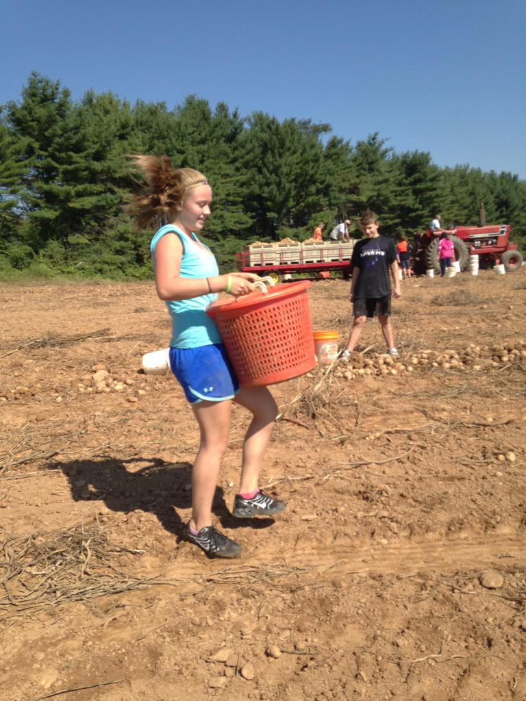 mms_team7B's tweet photo. Our students did a fabulous job harvesting food for the hungry. #firstfruitsfarm #servicelearning http://t.co/dRoJJ5OXAv
