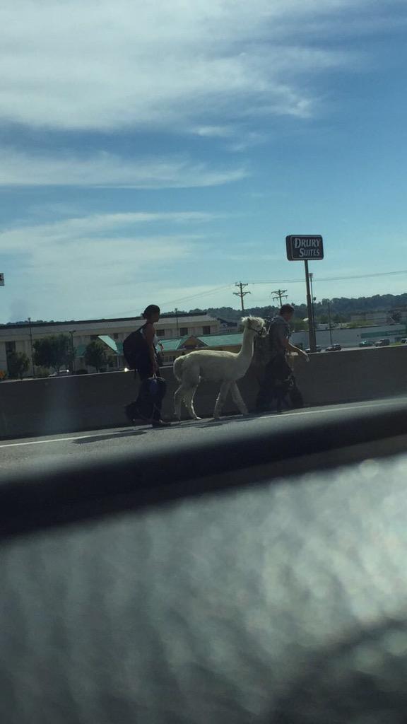 <a href="/ThatsSoCape/">That's So Cape</a>