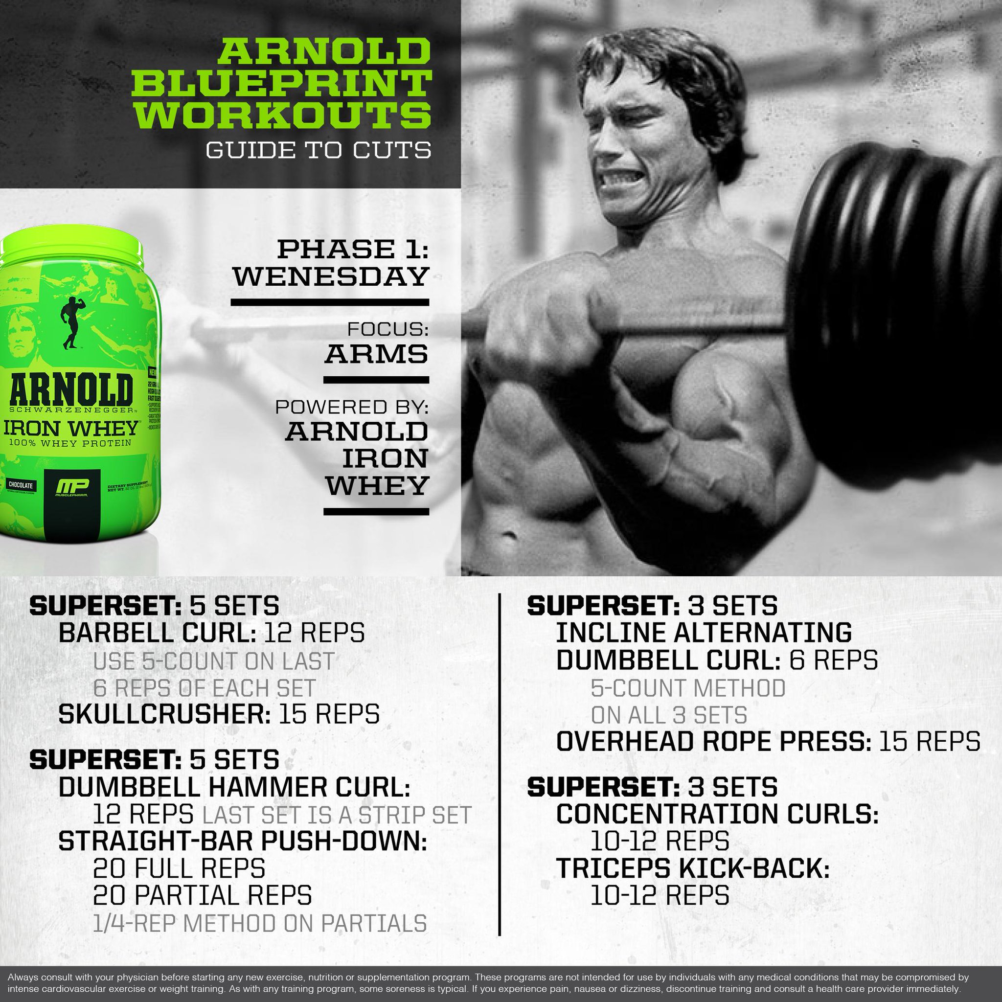 15 Minute Arnold Schwarzenegger Arms And Shoulder Workout for Fat Body