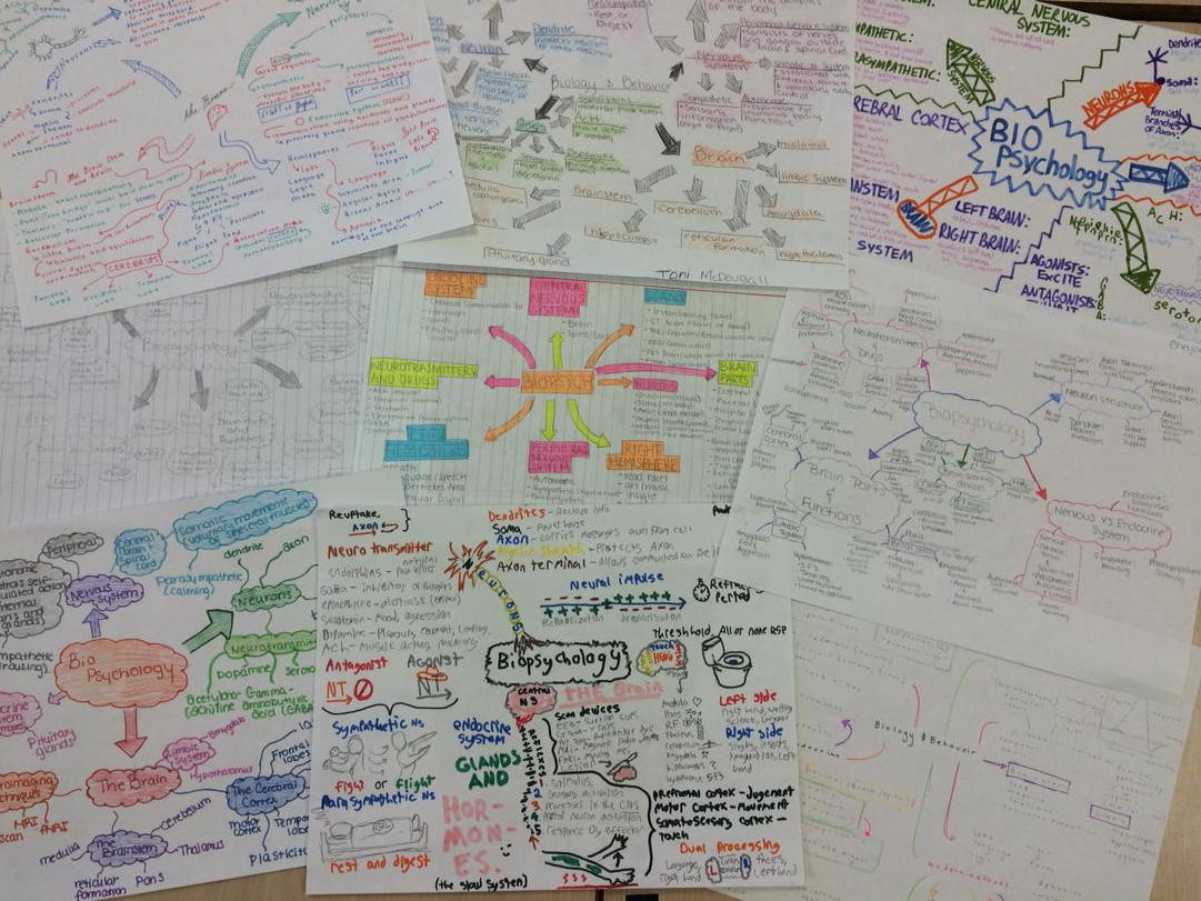 TheMrBurnes's tweet photo. Nice work on the word webs for the biology unit! Good job AP Psych! #knowthebrain http://t.co/sMZMnCUTqr