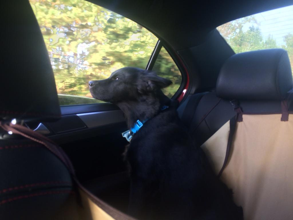 AliWNCT's tweet image. Lovin' the breeze