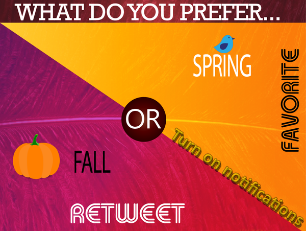 ChoicesYouHave's tweet photo. Fall or Spring? http://t.co/4R5x3Llbk1