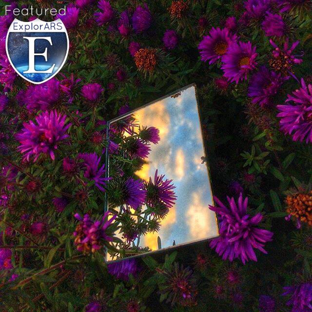 TheExplorARS's tweet image. Great creativity from @ tylerdeier on #Instagram #IGers #sunset #ExplorARS instagram.com/p/780HyNDSnn/