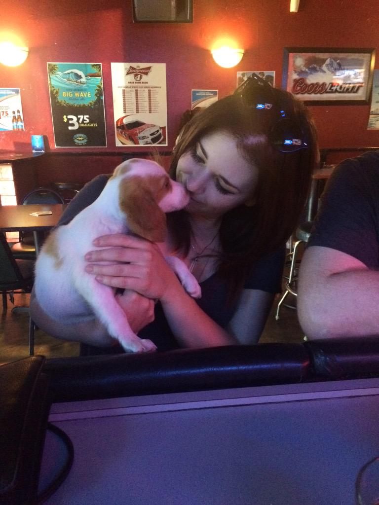 katdamn's tweet photo. All you need is a puppy and the bitches will flock to you! #bitcheslovepuppies #ilovepuppies http://t.co/ILOQZt8jTe