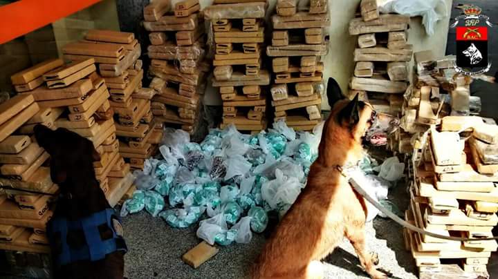 BAC_CANIL's tweet photo. @BAC_CANIL  apreende cerca de 750kg de drogas na comunidade Nova Holanda.
#OperacoesComCaes #PMERJ #K9 http://t.co/YBLtAVw1Gj