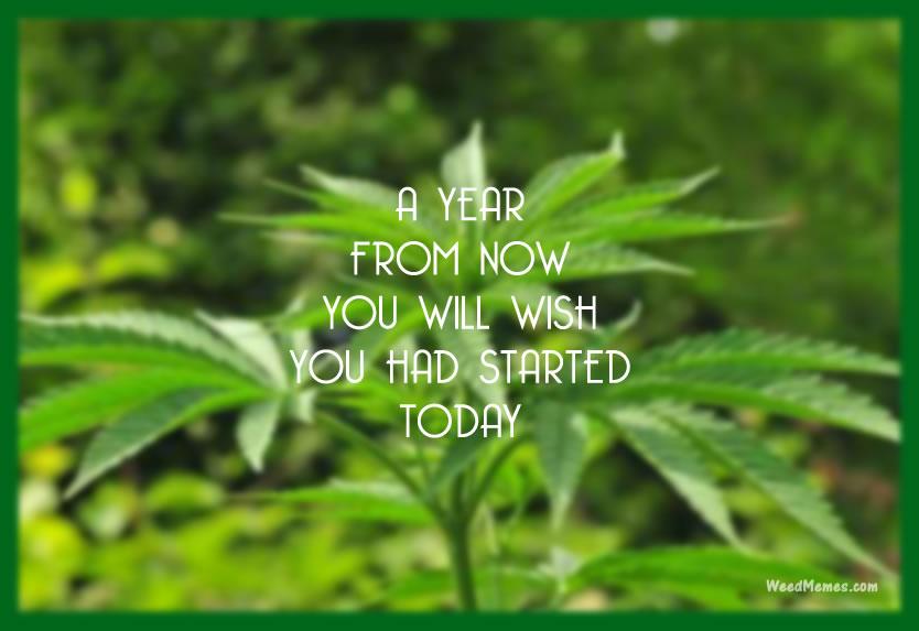 Weedmemes Dotcom tweet media