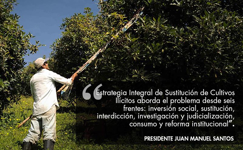 Colombia lanza nueva política antidroga - CPijgpKWUAA-c94