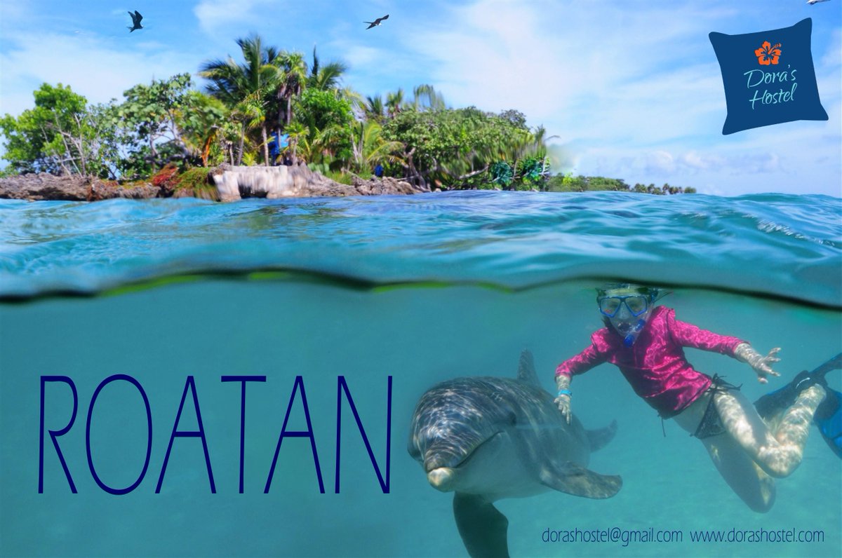 DorasHostel's tweet photo. #PleaseDontAskMeTo Stay, I need to travel #DorasHostel #Roatan http://t.co/hKIEE5uan6
