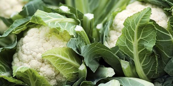 EssentialElems's tweet image. #TastyTuesdays #RT @SELFmagazine: 8 creative ways to cook #cauliflower on.self.com/1LJKNrG