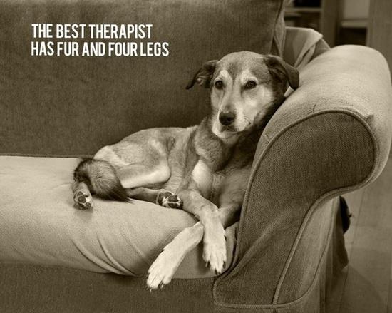 SPAWLLC's tweet photo. "The best therapist has fur and four legs."
#quote #dogquote http://t.co/TFO0SPQvyN