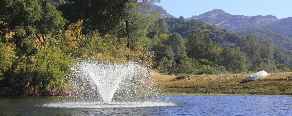 Napa Valley Insights tweet media