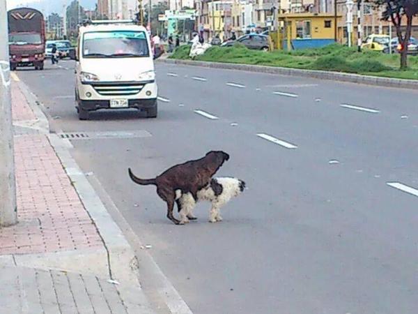 TRN_INFORMA's tweet photo. Una aventura es mas divertida si huele a peligro... http://t.co/toaHTPlwEI