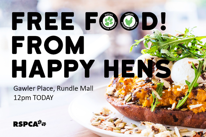 RohdesFreeRange's tweet photo. Love free food? Come to Rundle Mall TODAY @ 12pm to try some of our delicious RSPCA Approved Rohde's Free Range Eggs! http://t.co/1aLcS3lc15