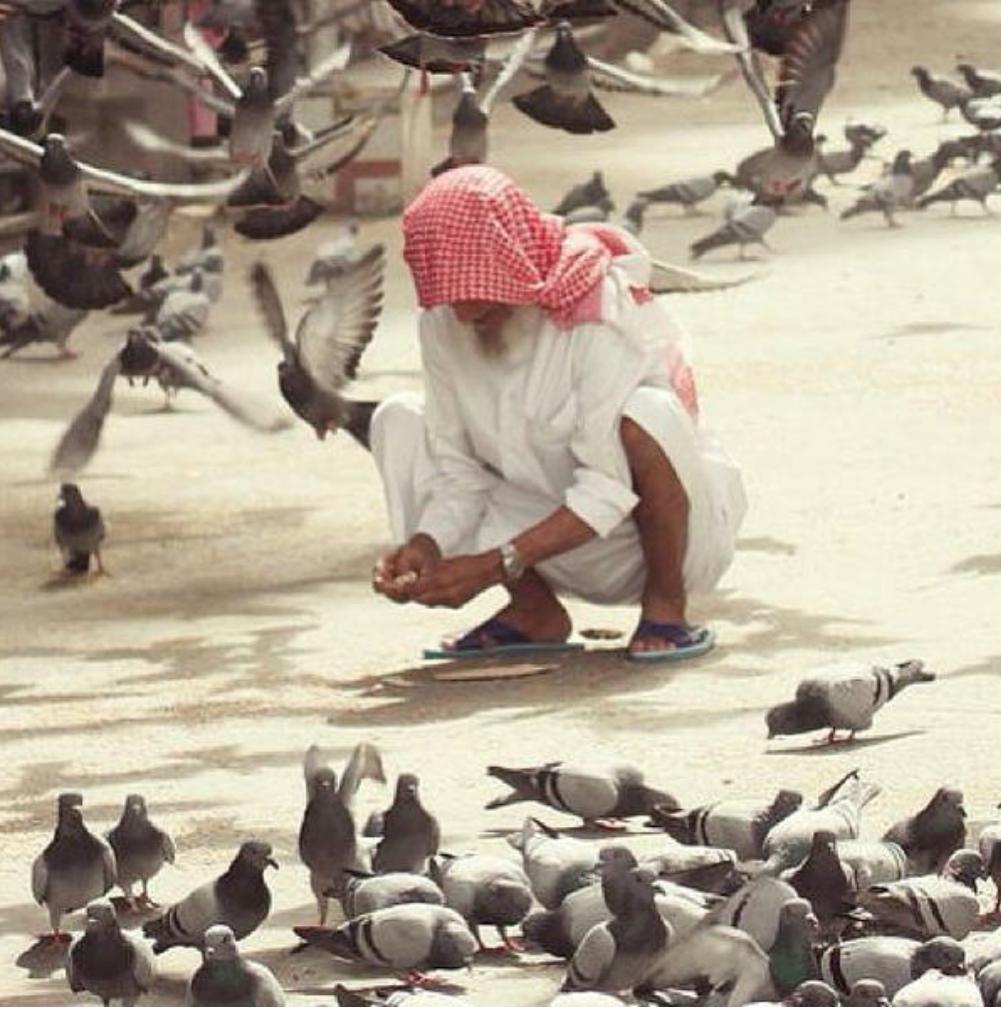 شتان بين مصلح ومفسد .. ومطعم ومهلك
#انقذوا_محمياتنا_الطبيعية