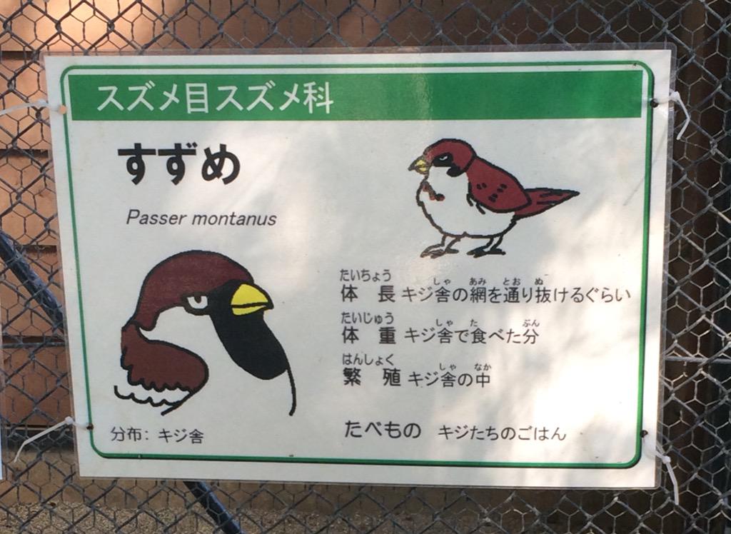 動物園のスズメ紹介文が悪意に満ちている 体重は ライブドアニュース 動物園のスズメ紹介文が悪意に満ちている 体重は ライブドアニュース
