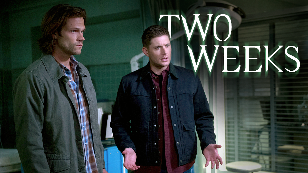 Supernatural tweet media