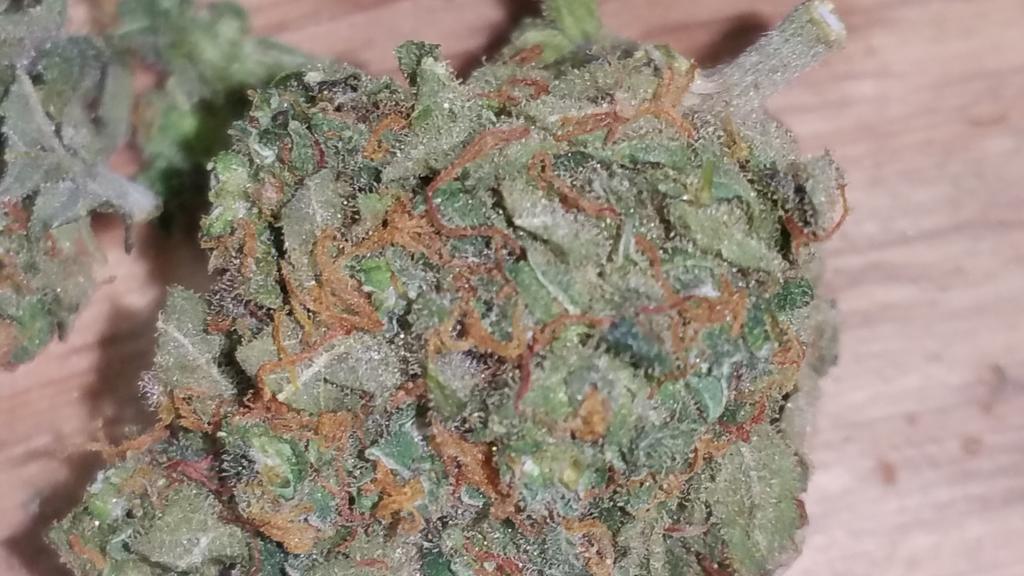 Blue hash plant for 15 a gram also!!!