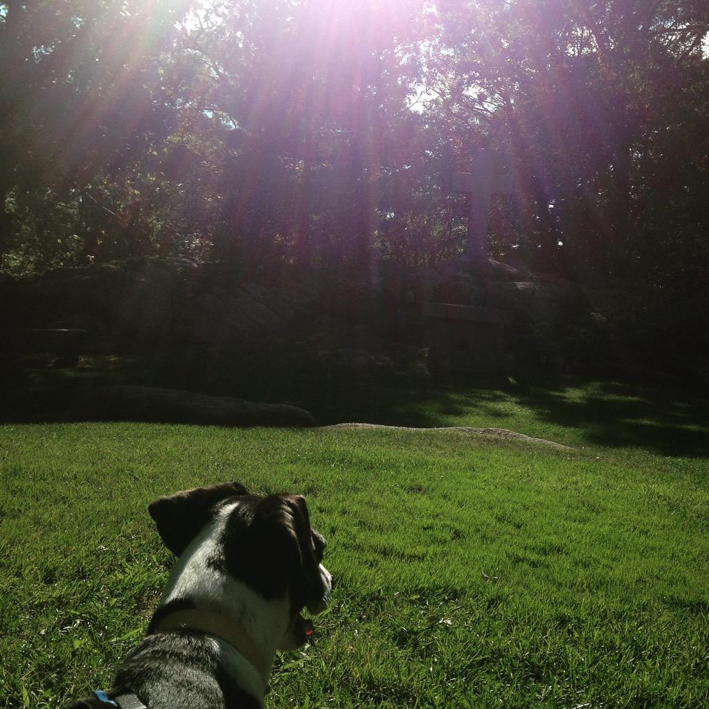 MindfulnessMutt's tweet photo. Mom and I come here to think about Dad. We feel his presence today. #grief #healing http://t.co/MGJ0bkKNak