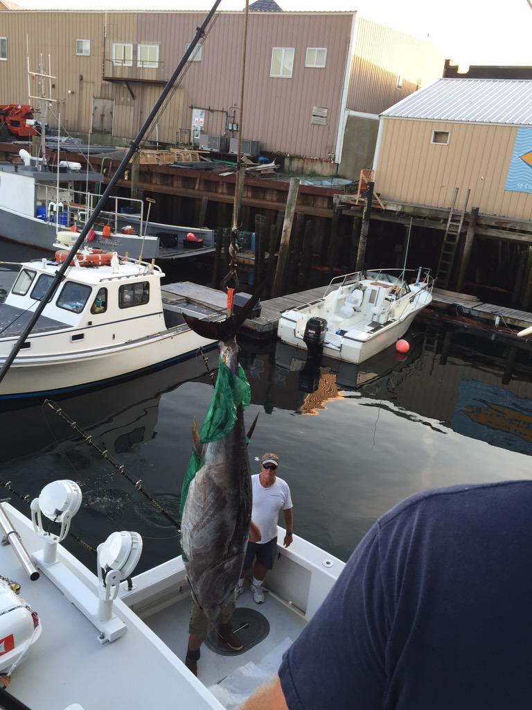 fvbountyhunter's tweet photo. Well boys, he was 97 inches and we smoked him in 50 minutes http://t.co/dxuWJ16JEk