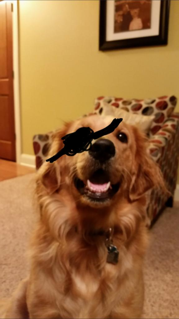 Renee Parker tweet media