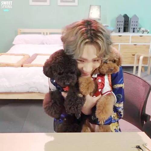 mikonew_2130's tweet photo. #HappyBirthdayKey
#키
#25thFreaKeyDay
#기범아생일축하해
きーくんセンイルチュッカヘ!!!!あなたのすべてが好きです!
あなたが笑顔でいられる1年になりますように✨サランへヨオオオオ! http://t.co/c0cWEr2XDK