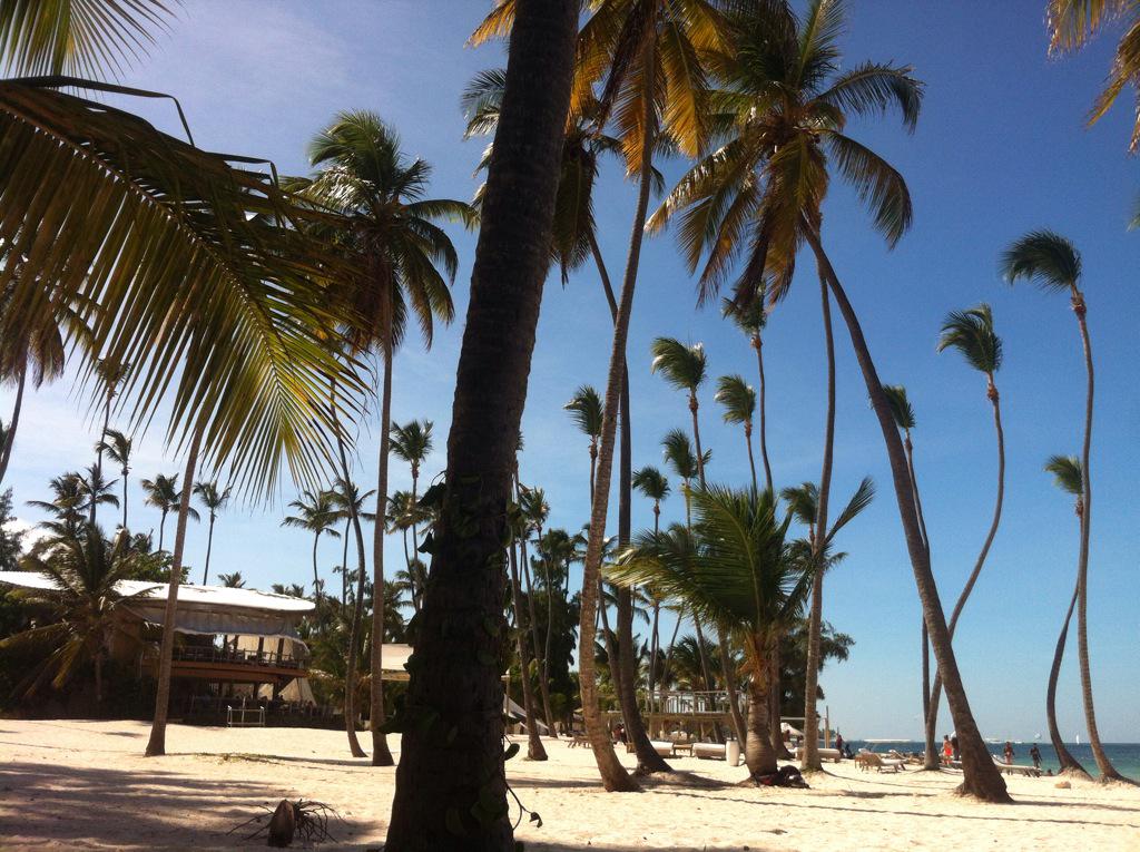 CaribbeanRd's tweet photo. Happy Tuesday☀️ http://t.co/Qb6xMs2Vwf