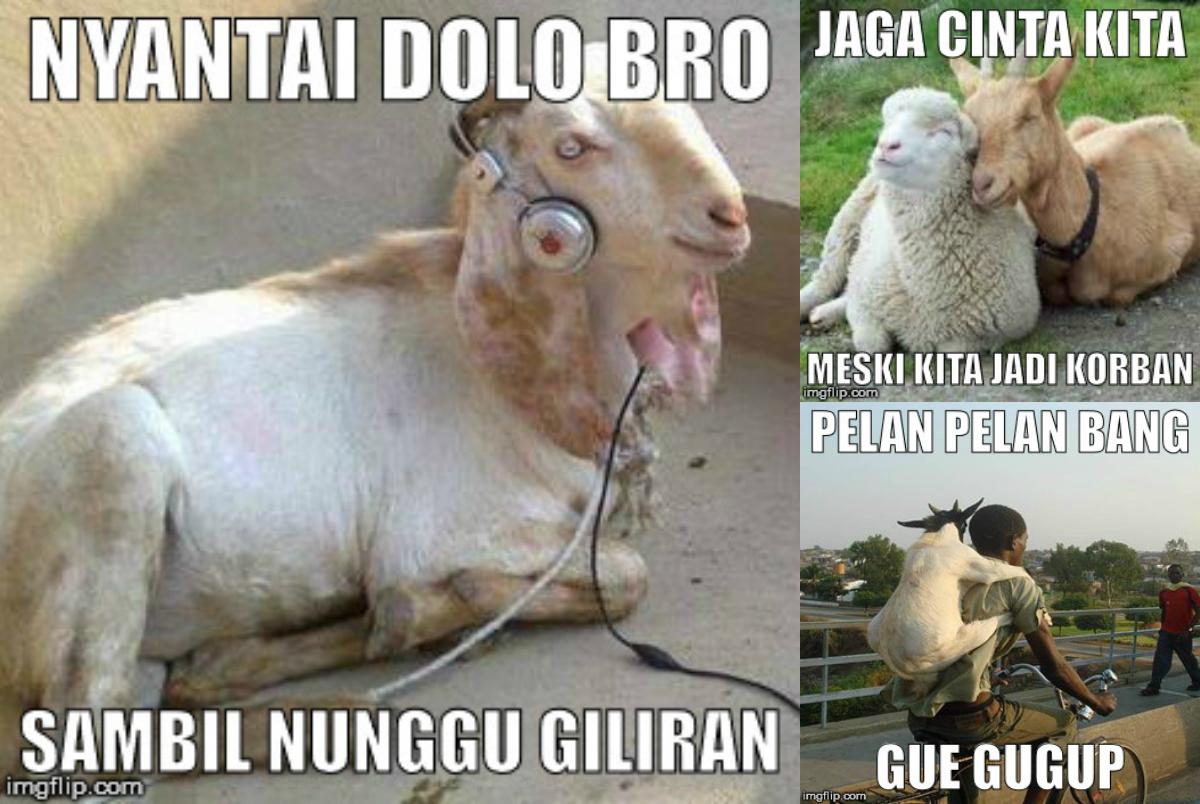 Ivan Hartono On Twitter Meme Lucu Idul Adha 2015 Terbaru Gambar Qurban Kurban Super Ngakak Http Tco Wggwgq8n6q Http Tco Xrss8or5su