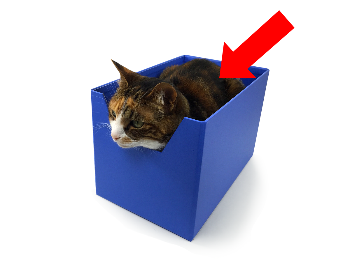 boxybed's tweet photo. @BestofKickstart @BestKickstarter You know how cats love boxes? This is a box on steroids! http://t.co/jRBdWGtEz7 http://t.co/3WHP5JWGRR