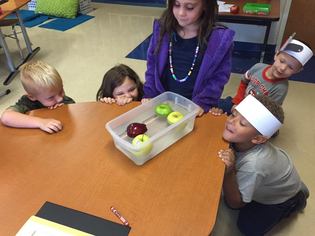 KdgFleming's tweet photo. Apple investigations in kdg...Will it sink or float? How many seeds? What is your estimate? #ScotStory http://t.co/1dYvXK8XS0