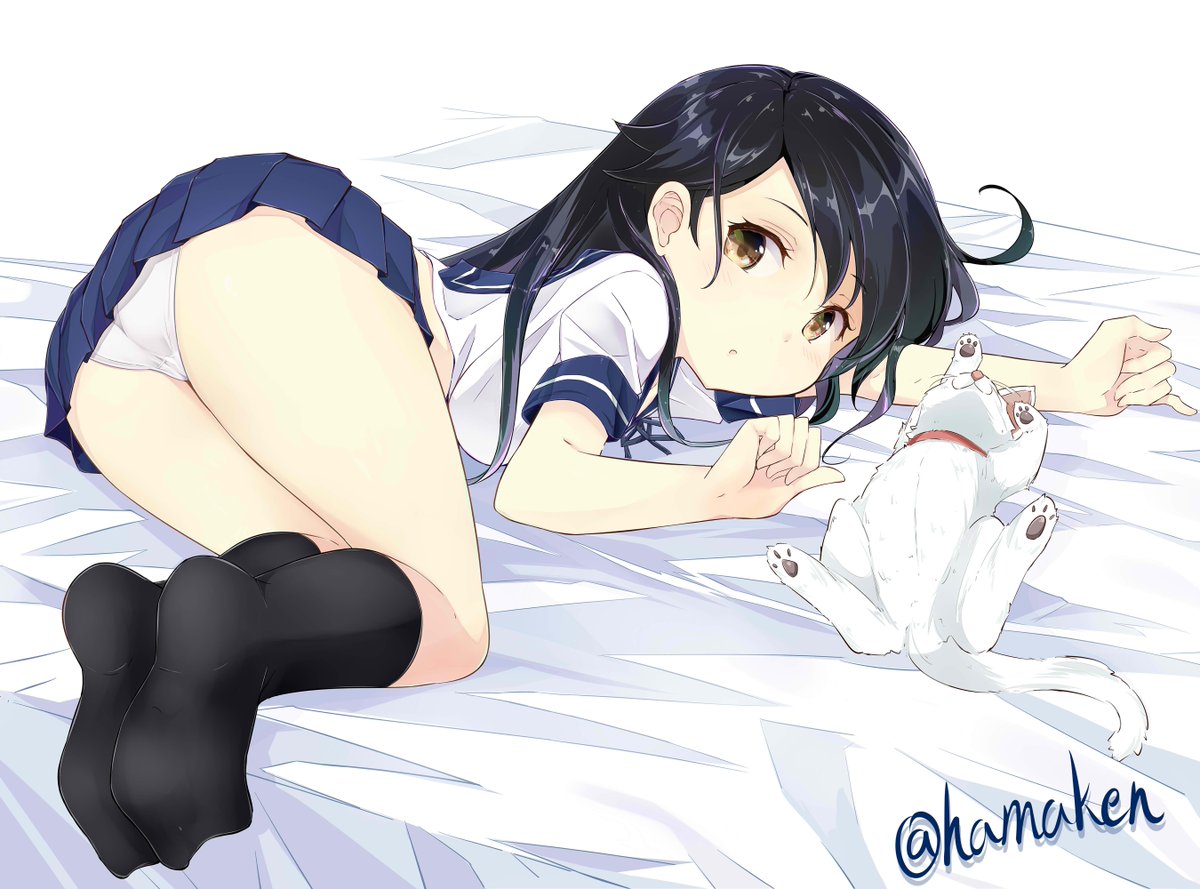 ねこっろがり潮ちゃん。 